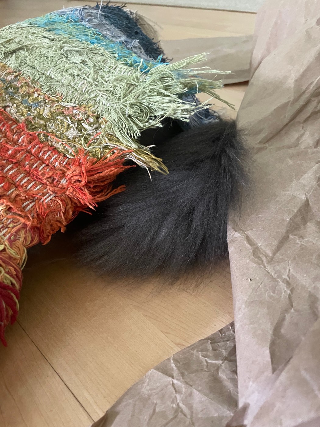 A fluffy gray tail sticking out from under the fold of a rag rug