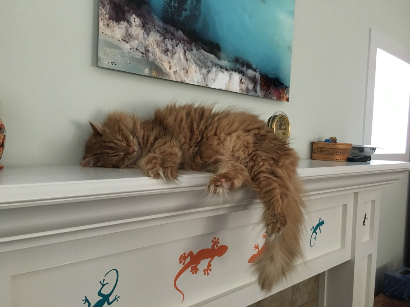 Ginger cat asleep along a white fireplace mantel, one paw hanging off
